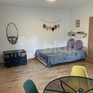 Pronájem bytu 1+kk, garsoniery 35 m² Staré Buky