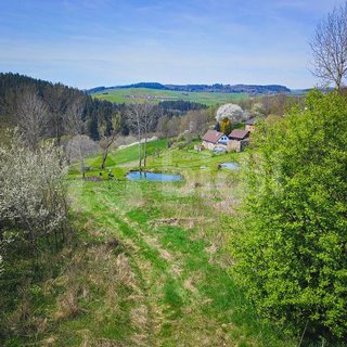 Prodej stavební parcely 10 000 m² Hořice na Šumavě, 