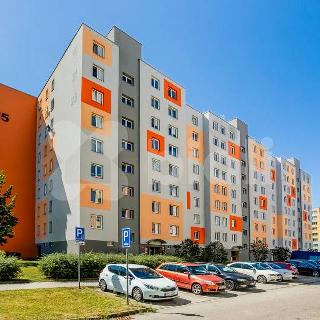 Pronájem bytu 2+kk 47 m² České Budějovice, J. Bendy