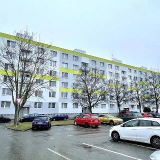 Pronájem bytu 1+1 33 m² Heřmanův Městec, V Lukách