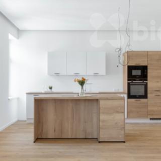 Prodej bytu 3+kk 97 m² Ostrava, Masná