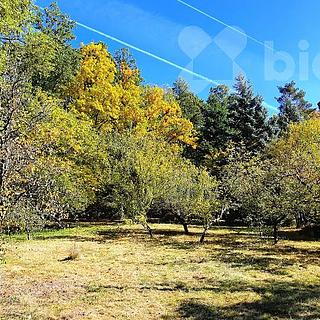 Prodej zahrady 560 m&sup2; Příchovice