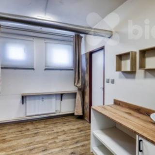 Prodej bytu 5+1 a více 39 m² Plzeň