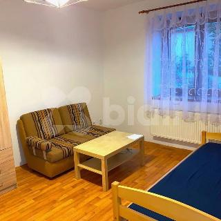 Pronájem bytu 1+1 40 m² Šternberk, Lesní