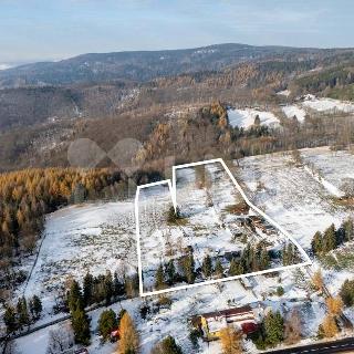 Prodej louky 21 376 m² Osek