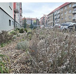 Pronájem bytu 2+1 54 m&sup2; Jirkov