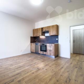 Prodej bytu 1+kk a garsoniéry 30 m² Ostrava Přívoz, Palackého