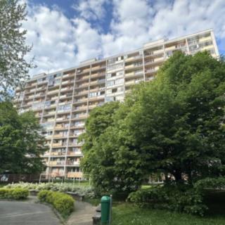 Pronájem bytu 1+kk, garsoniery 31 m² Pardubice