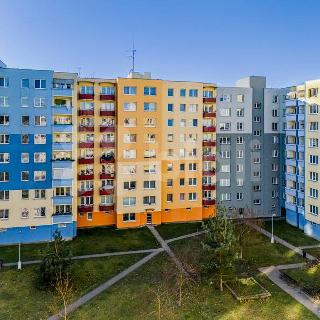 Prodej bytu 3+1 76 m² České Budějovice, V. Volfa