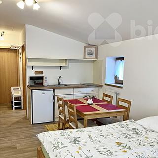 Pronájem bytu 1+kk, garsoniery 25 m² Trhové Sviny