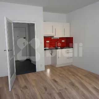 Prodej bytu 1+kk a garsoniéry 23 m² Brno, Halasovo náměstí