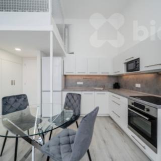 Pronájem bytu 1+kk, garsoniery 37 m² Ostrava