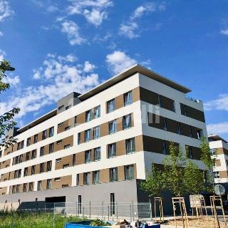 Pronájem bytu 2+kk 58 m² Pardubice, Husova