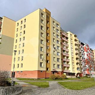 Pronájem bytu 1+1 39 m² České Budějovice, V. Volfa