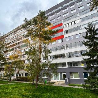 Prodej bytu 1+kk a garsoniéry 38 m² Praha, Vysočanská