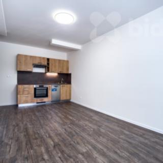 Prodej bytu 1+kk a garsoniéry 25 m² Ostrava Přívoz, Palackého