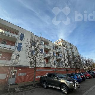 Pronájem bytu 2+kk 58 m² Hradec Králové, Rybova