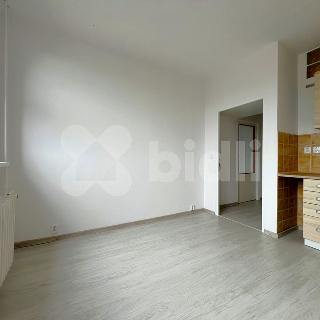 Prodej bytu 1+1 47 m² Frýdek-Místek, Bezručova