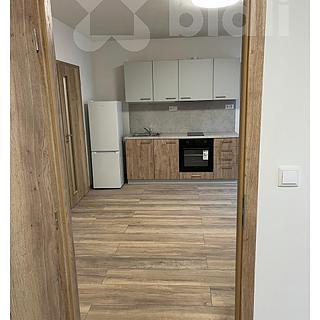 Pronájem bytu 1+1 39 m² Pardubice