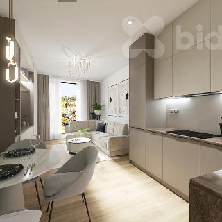 Prodej bytu 1+kk a garsoniéry 24 m² Praha, Prachnerova