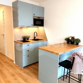 Prodej bytu 1+kk, garsoniery 23 m² Praha