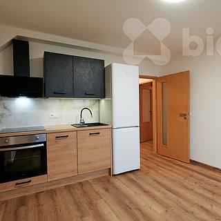 Prodej bytu 1+1 47 m² Nýřany