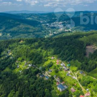 Prodej lesa 6696 m² Tanvald