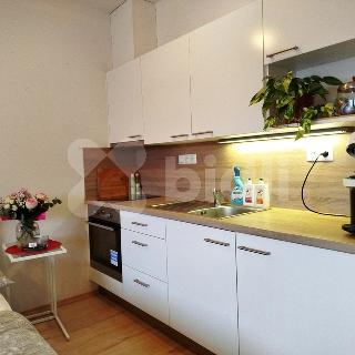 Pronájem bytu 1+kk a garsoniéry 35 m² Brno, Novodvorská