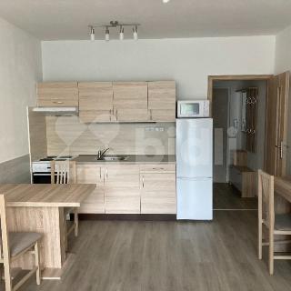 Pronájem bytu 2+kk 40 m² Dvůr Králové nad Labem, Elišky Krásnohorské