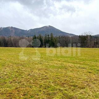 Prodej louky 5 500 m² Frýdlant nad Ostravicí