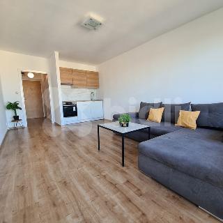 Pronájem bytu 1+kk a garsoniéry 31 m² Bohumín, Svat. Čecha