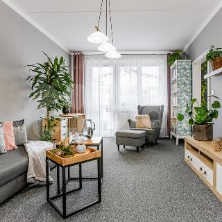 Prodej bytu 3+1 80 m² České Budějovice, Dlouhá