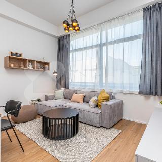 Prodej bytu 1+kk a garsoniéry 41 m² Praha, Malešická