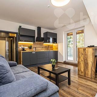 Prodej bytu 1+kk, garsoniery 68 m&sup2; Vrbno pod Pradědem