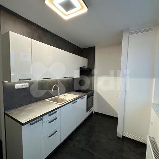 Pronájem bytu 2+1 65 m² Hradec Králové, Široká