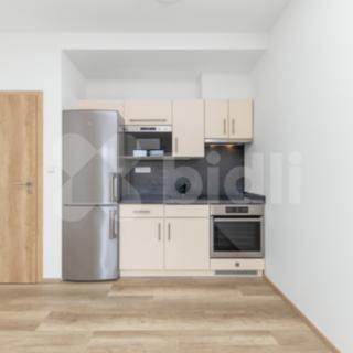 Pronájem bytu 2+kk 53 m² Brno