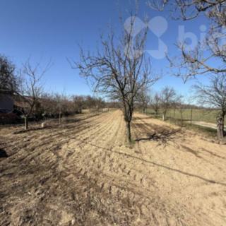 Prodej stavební parcely 1 000 m² Troubky-Zdislavice