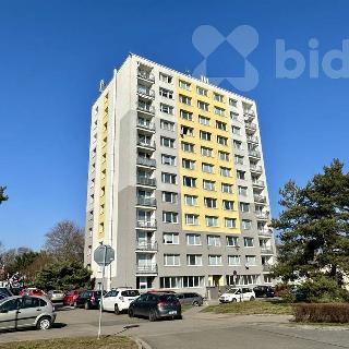 Prodej bytu 1+kk a garsoniéry 33 m² Poděbrady, Dr. Horákové