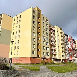 Pronájem bytu 3+1 69 m² České Budějovice, V. Volfa