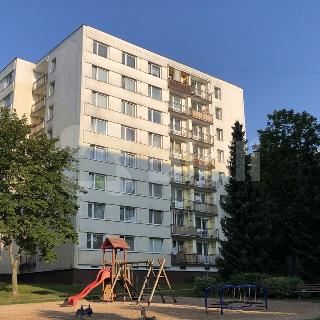 Pronájem bytu 1+kk a garsoniéry 32 m² Hlinsko, Družstevní