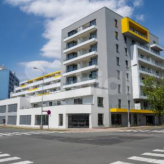 Pronájem bytu 2+kk 74 m² Hradec Králové, Kubelíkova