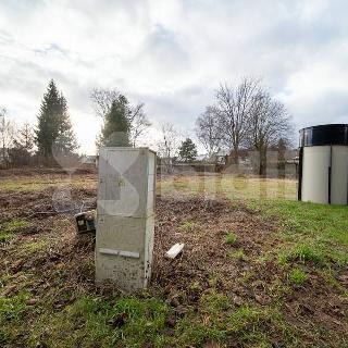 Prodej stavební parcely 2 275 m² Dvůr Králové nad Labem, Kotkova