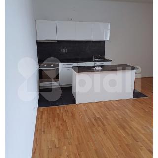 Pronájem bytu 2+kk 85 m² Ostrava, Vojanova