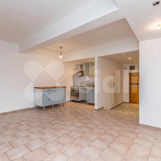 Prodej bytu 2+kk 56 m² Praha, Lucemburská