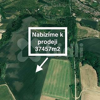 Prodej zemědělské půdy 37457 m&sup2; Želešice