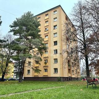 Prodej bytu 1+kk a garsoniéry 22 m² Frýdek-Místek, Bezručova