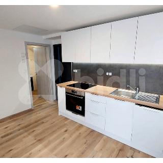 Pronájem bytu 1+kk a garsoniéry 23 m² Brno