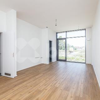 Prodej bytu 1+kk a garsoniéry 43 m² Praha, Malešická