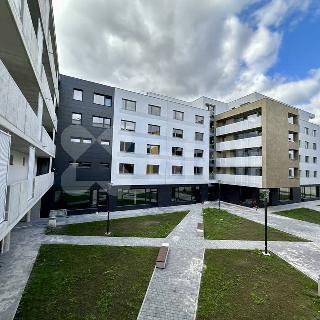 Pronájem bytu 2+kk 48 m² Pardubice, Smilova