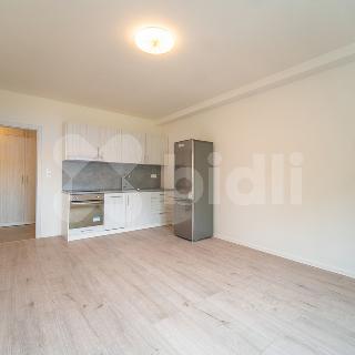 Pronájem bytu 2+kk 47 m² Praha, Toužimská